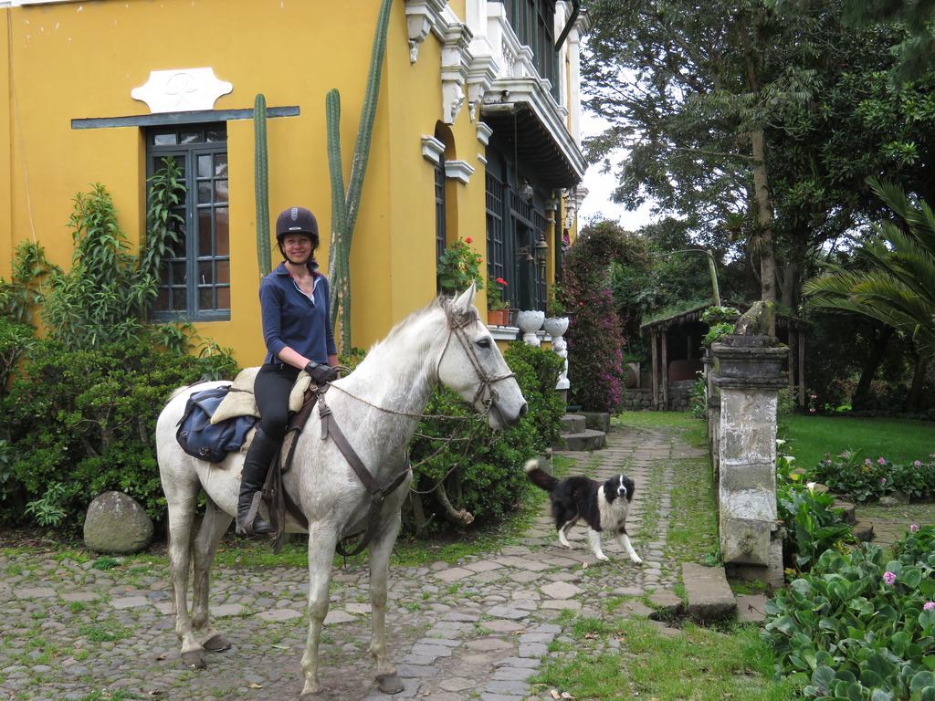 Hotel Hacienda La Alegría Exterior foto