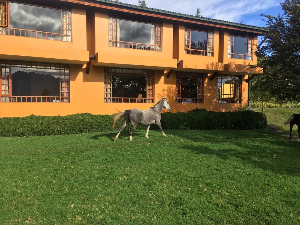 Hotel Hacienda La Alegría Exterior foto